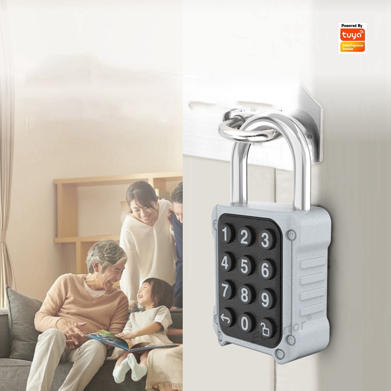EGFirtor Tuya APP 보안 안전 가방 상자  - Lockbox Key Secure 리뷰 및 가격